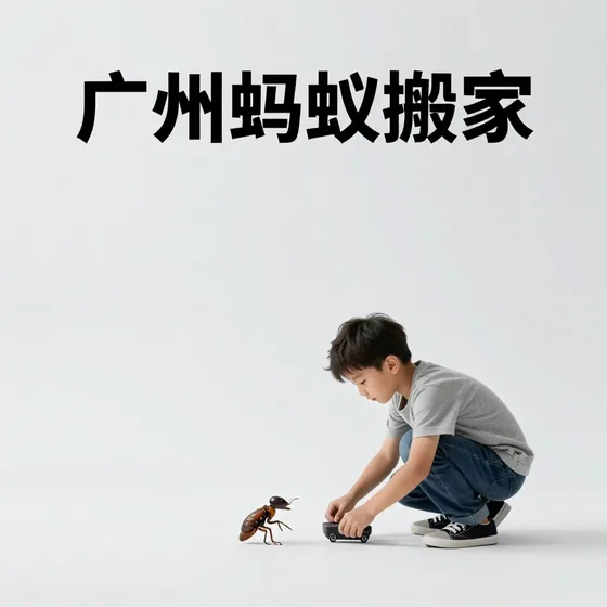 广州蚂蚁搬家选购注意事项